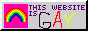 'this website is gay' button