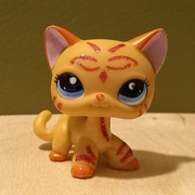 yellow shorthair cat with pink stripes painted with glitter