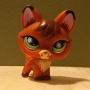 brown-reddish fox with green eyes