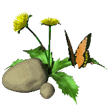 3D gif of a plant next to a rock on which a butterfly is sitting