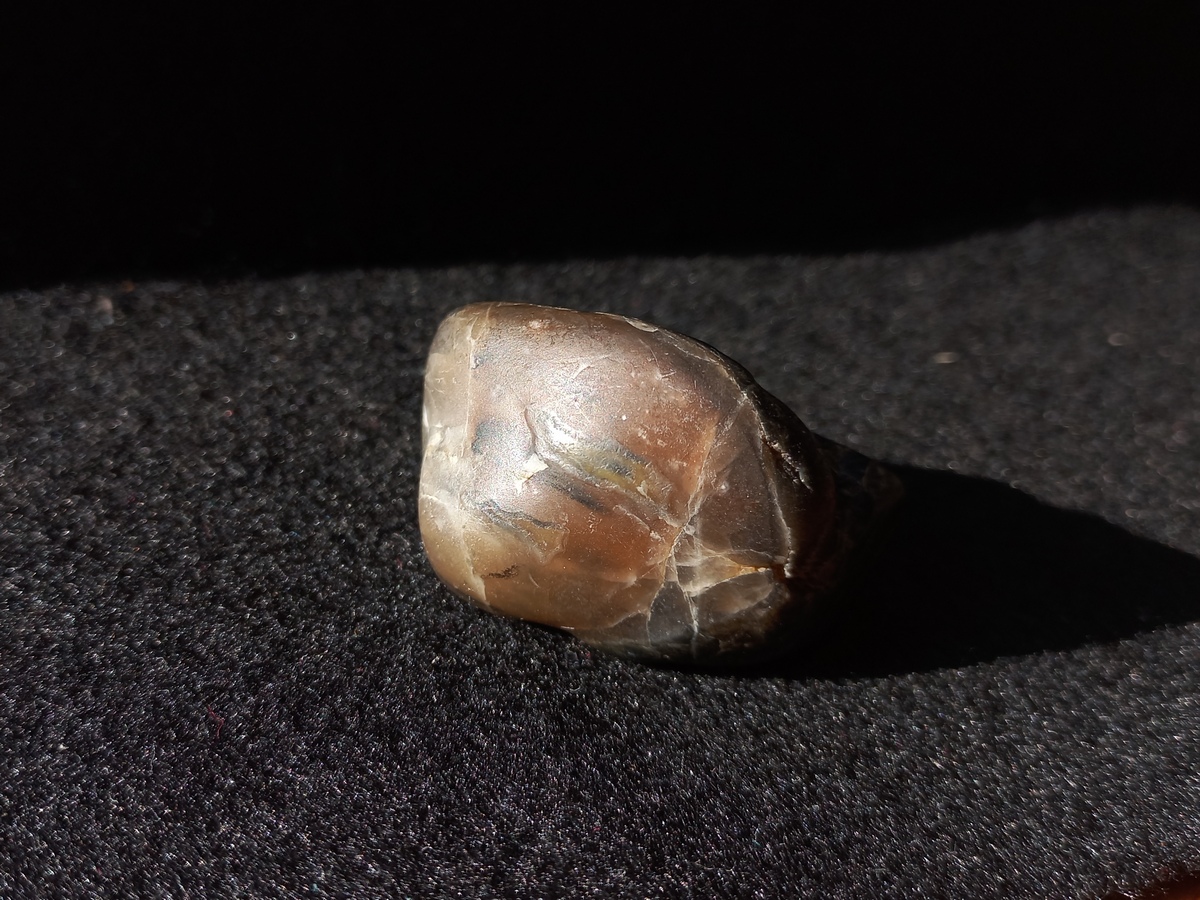 smooth, almost transparent part of a dark gray rock