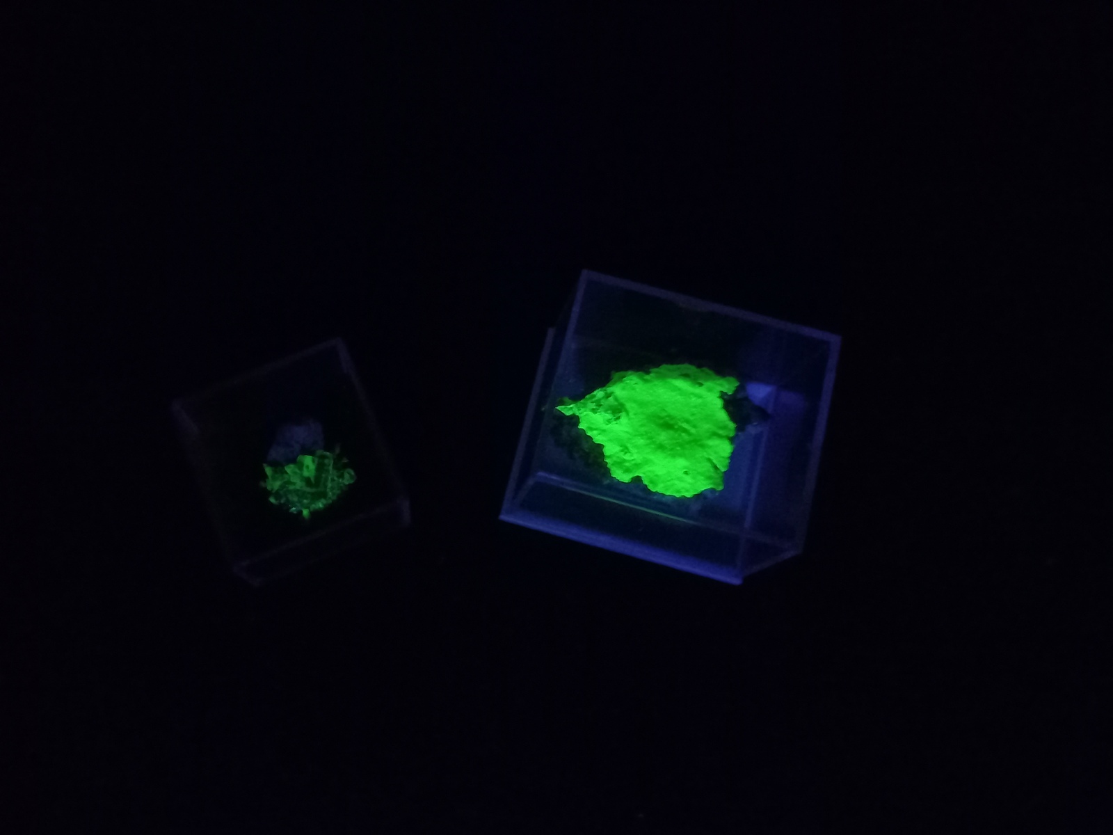 both of them under uv light