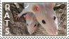 rats stamp